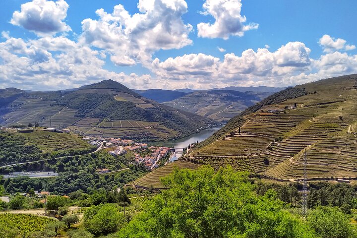 Ganztägige Weintour im Douro-Tal ab Porto mit Weinproben, Bootsfahrt und Mittagessen, Foto 9 | wizardtrip