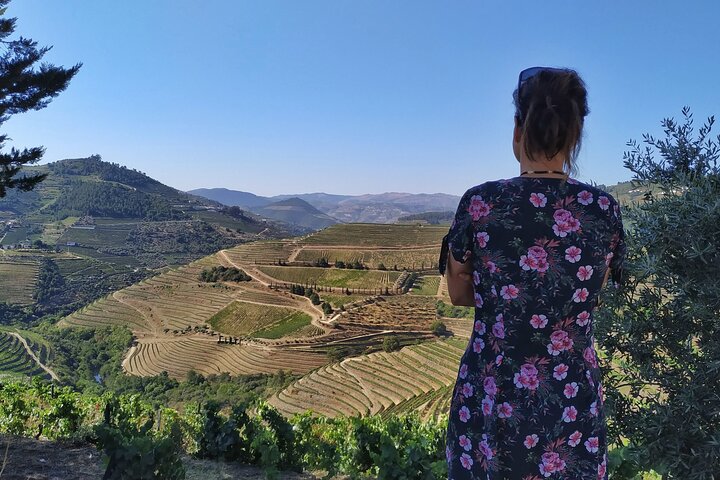 Ganztägige Weintour im Douro-Tal ab Porto mit Weinproben, Bootsfahrt und Mittagessen, Foto 11 | wizardtrip