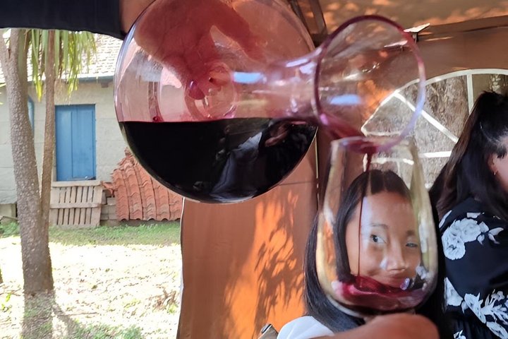Ganztägige Weintour im Douro-Tal ab Porto mit Weinproben, Bootsfahrt und Mittagessen, Foto 15 | wizardtrip
