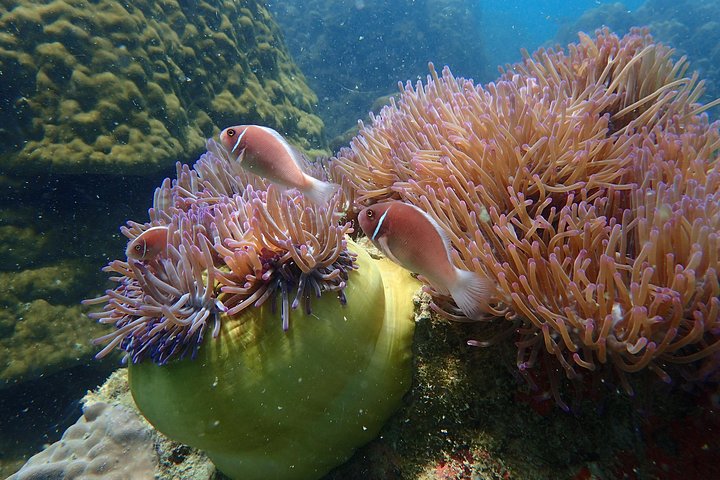 Lyxyachttur som utforskar Ang Thong Marine Park, Thailand, med kajak och snorkling, foto 7 | wizardtrip