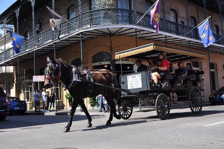 ニューオーリンズの歴史的なフレンチクォーターを巡るロバの馬車ツアー。ランドマークや建築物を紹介、写真6 | wizardtrip