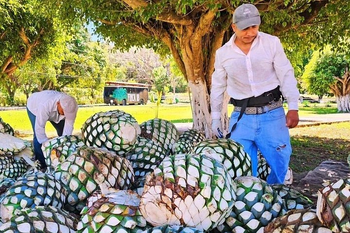 Tequila proeverij en chocolade combinatie op de historische Finca 18 ranch in Puerto Vallarta, Mexico, foto 9 | wizardtrip