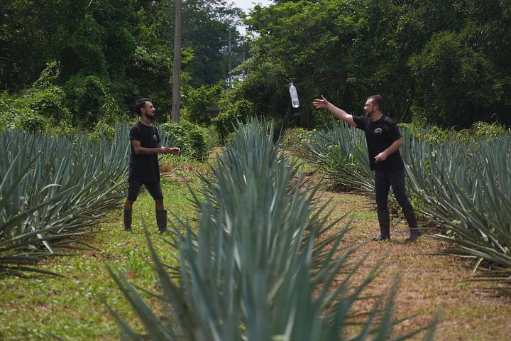 Tequila proeverij en chocolade combinatie op de historische Finca 18 ranch in Puerto Vallarta, Mexico, foto 13 | wizardtrip