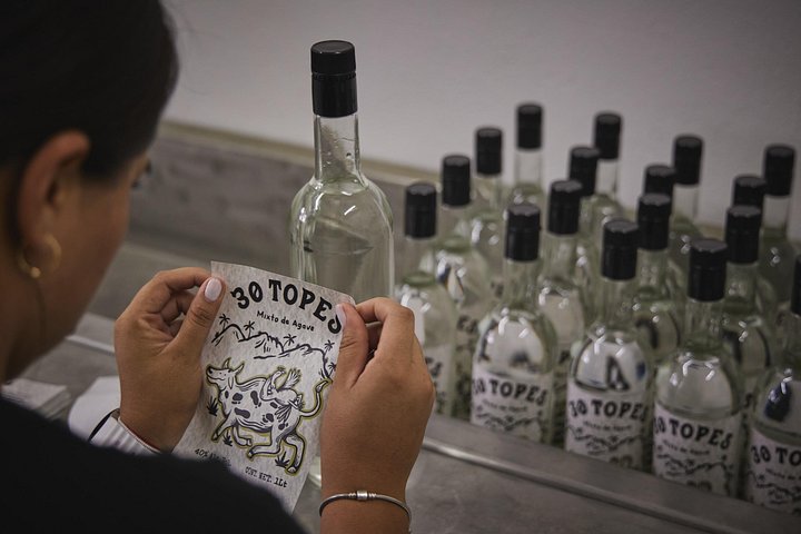 Tequila proeverij en chocolade combinatie op de historische Finca 18 ranch in Puerto Vallarta, Mexico, foto 15 | wizardtrip