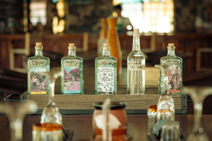 Tequila proeverij en chocolade combinatie op de historische Finca 18 ranch in Puerto Vallarta, Mexico, foto 22 | wizardtrip