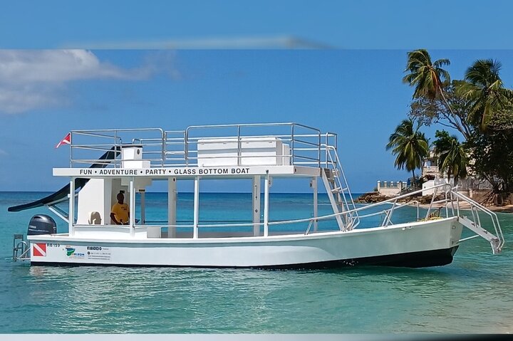 Boottocht met glazen bodem op Barbados met schildpadden voeren, scheepswrak snorkelen en rifverkenning, foto 6 | wizardtrip