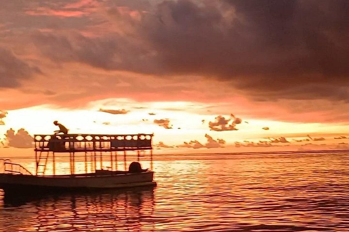 Boottocht met glazen bodem op Barbados met schildpadden voeren, scheepswrak snorkelen en rifverkenning, foto 16 | wizardtrip