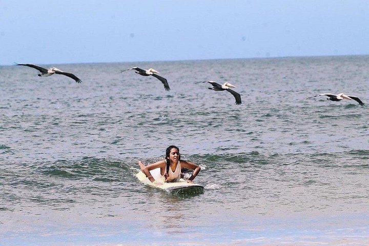 Apprenez à surfer avec des moniteurs professionnels sur les vagues douces de Tamarindo, Costa Rica, photo 6 | wizardtrip