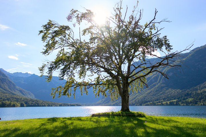 Naturskøn udsigt over Bled-søen, Bohinj-søen og Savica Vandfald i Slovenien, foto 10 | wizardtrip