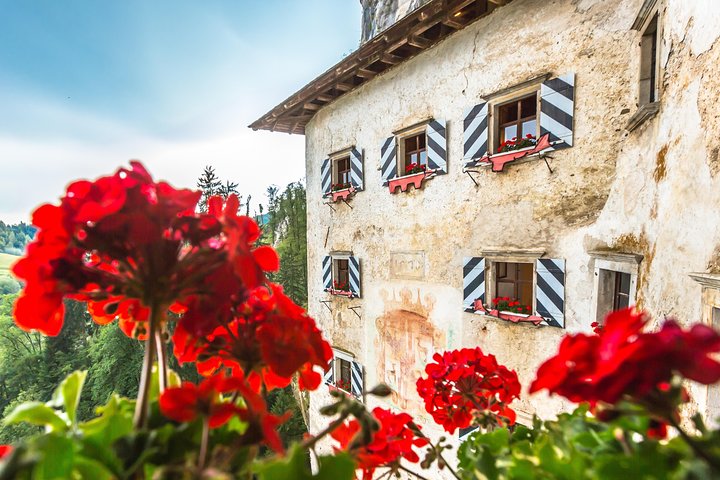 Explore a Gruta de Postojna e o Castelo de Predjama da Eslovénia numa viagem de um dia a partir de Liubliana, foto 10 | wizardtrip