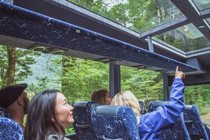 Milford Sound Coach & Cruise Tour ab Queenstown | wizardtrip