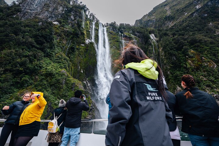 Naturskjønn buss- og cruisetur til Milford Sound fra Queenstown, New Zealand, foto 8 | wizardtrip