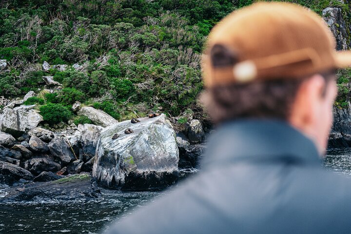 Naturskjønn buss- og cruisetur til Milford Sound fra Queenstown, New Zealand, foto 12 | wizardtrip
