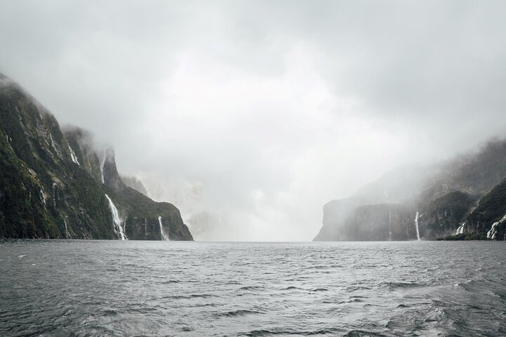 Naturskjønn buss- og cruisetur til Milford Sound fra Queenstown, New Zealand, foto 14 | wizardtrip