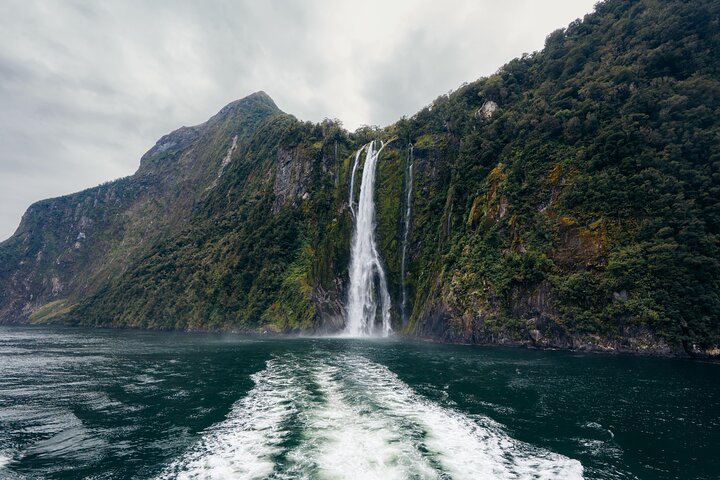 Naturskjønn buss- og cruisetur til Milford Sound fra Queenstown, New Zealand, foto 15 | wizardtrip