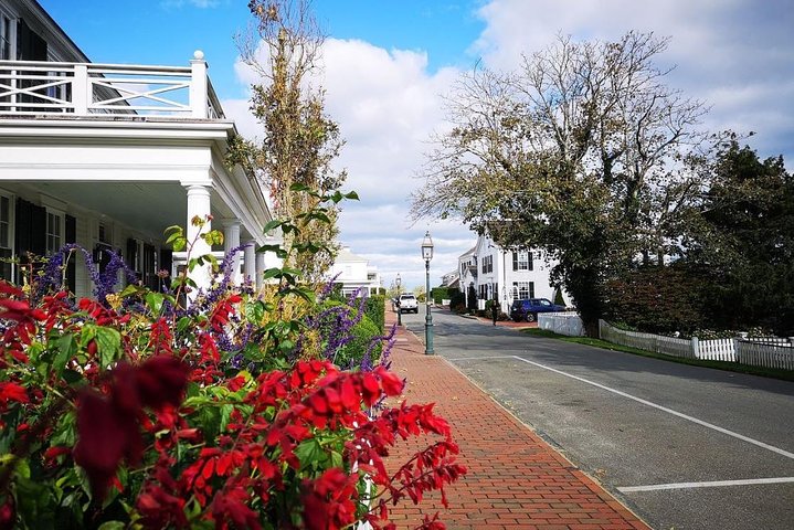 #1 Bedste 3-timers Martha's Vineyard Delt Ø-rundtur fra Oak Bluffs | wizardtrip