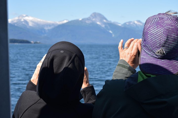 Valskådningstur i Juneau, Alaska, ombord på en katamaran med möjligheter att se djurliv, foto 9 | wizardtrip