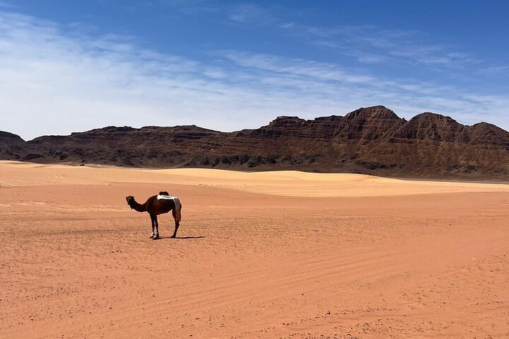 Full day tour from Amman to Petra and Wadi Rum, featuring ancient Nabataean architecture and desert landscapes, photo 26 | wizardtrip