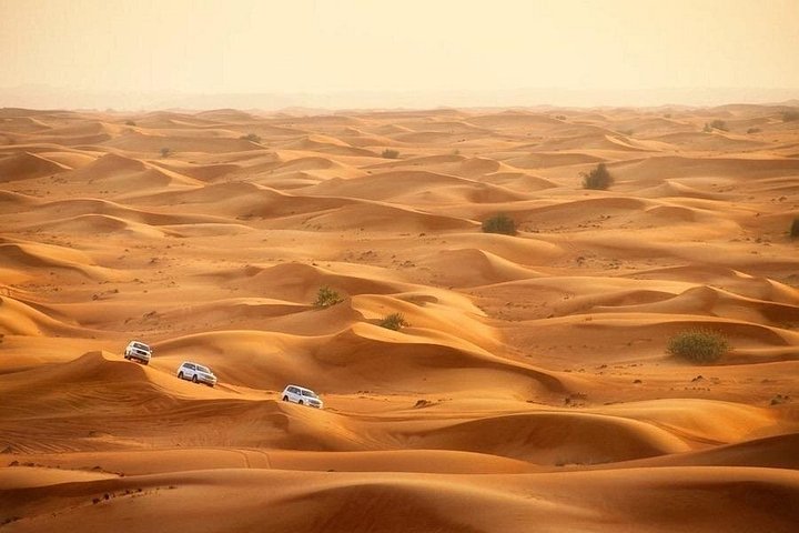 Experimente um emocionante safari no deserto em Doha, Catar, com dune bashing, passeios de camelo e sandboard, foto 14 | wizardtrip