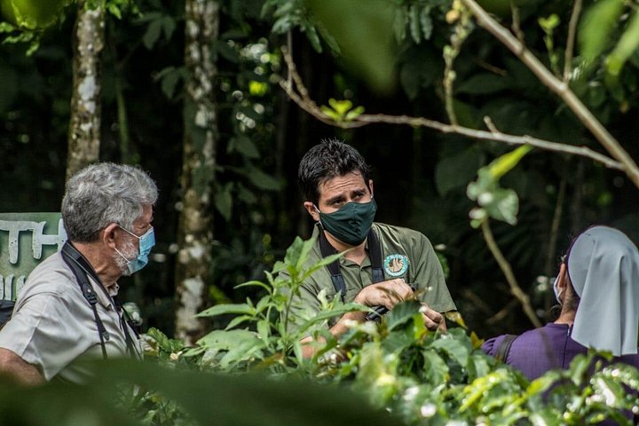 Begeleide luiaardkijk tour in La Fortuna, Costa Rica, met wilde dieren uit het regenwoud, foto 6 | wizardtrip