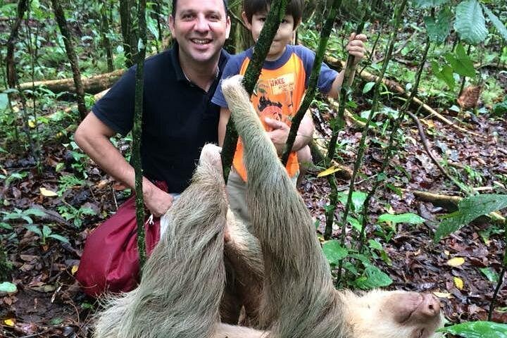 Begeleide luiaardkijk tour in La Fortuna, Costa Rica, met wilde dieren uit het regenwoud, foto 9 | wizardtrip