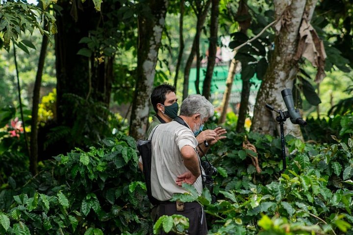Begeleide luiaardkijk tour in La Fortuna, Costa Rica, met wilde dieren uit het regenwoud, foto 11 | wizardtrip