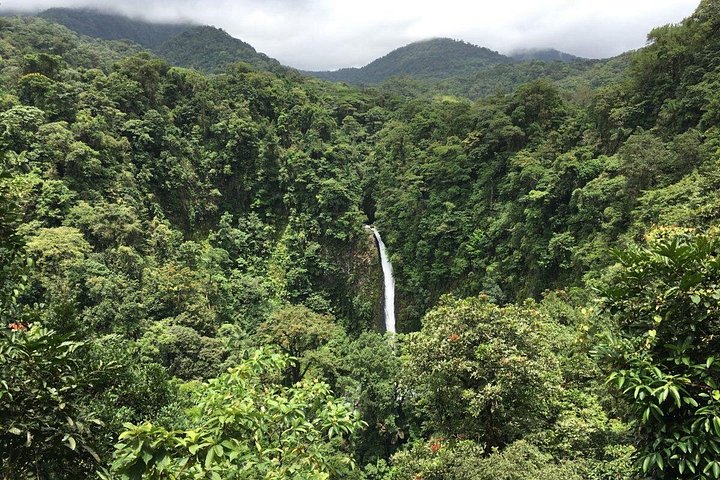 Een dagtour in La Fortuna, Costa Rica, met een waterval, vulkaanwandeling en warmwaterbronnen, foto 6 | wizardtrip