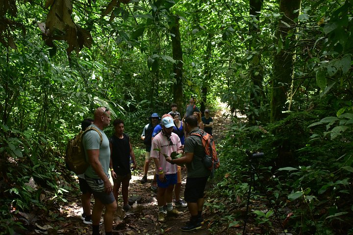 Een dagtour in La Fortuna, Costa Rica, met een waterval, vulkaanwandeling en warmwaterbronnen, foto 10 | wizardtrip