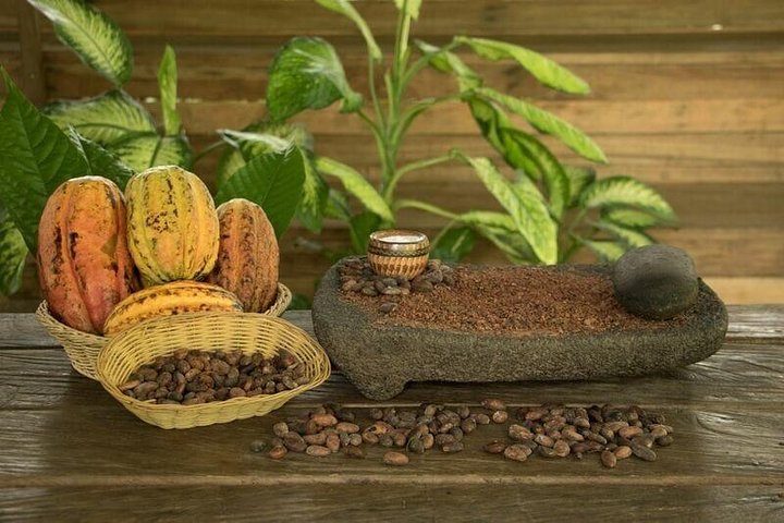 Upplev sengångarskådning, kaffe-, choklad- och sockerrörsprovning i La Fortuna, Costa Rica, foto 7 | wizardtrip