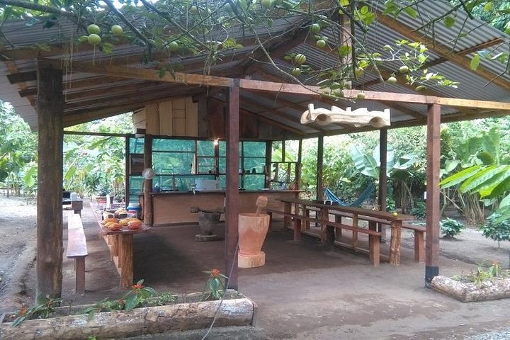 Upplev sengångarskådning, kaffe-, choklad- och sockerrörsprovning i La Fortuna, Costa Rica, foto 8 | wizardtrip