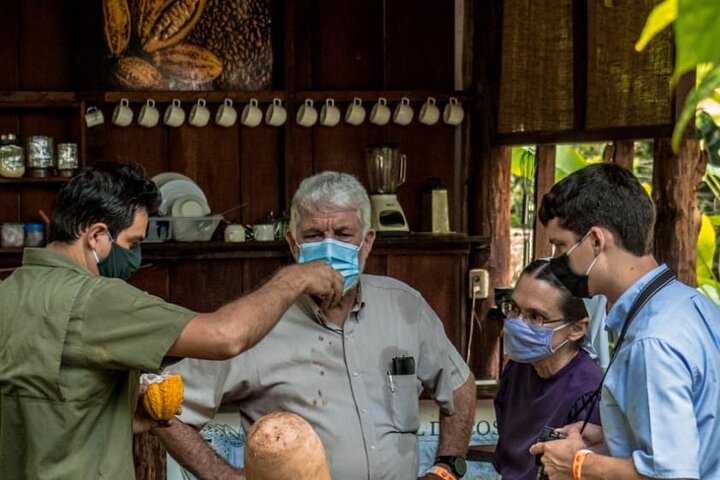 Upplev sengångarskådning, kaffe-, choklad- och sockerrörsprovning i La Fortuna, Costa Rica, foto 12 | wizardtrip