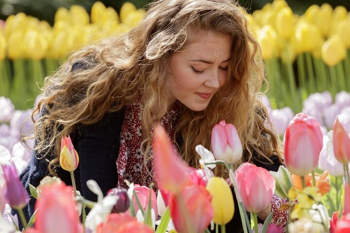 アムステルダム近郊のキューケンホフ公園でのシャトルバスと色鮮やかな花畑、写真6 | wizardtrip