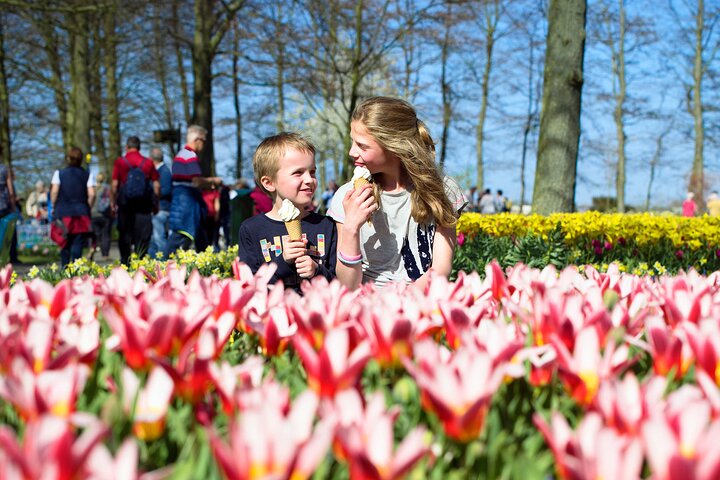 アムステルダム近郊のキューケンホフ公園でのシャトルバスと色鮮やかな花畑、写真12 | wizardtrip