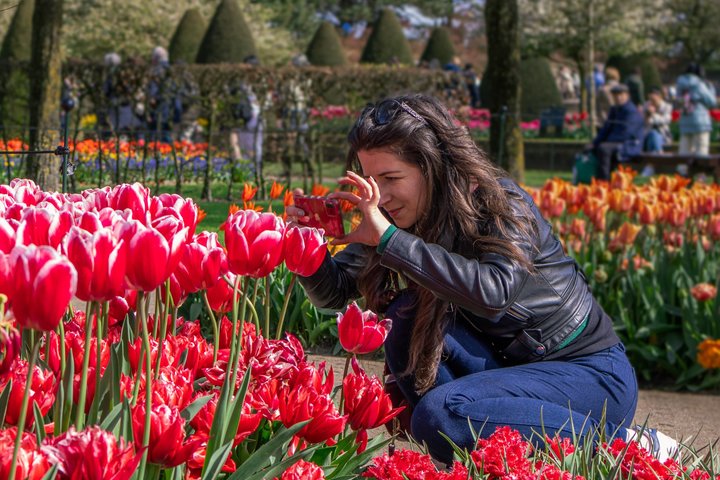 アムステルダム近郊のキューケンホフ公園でのシャトルバスと色鮮やかな花畑、写真14 | wizardtrip