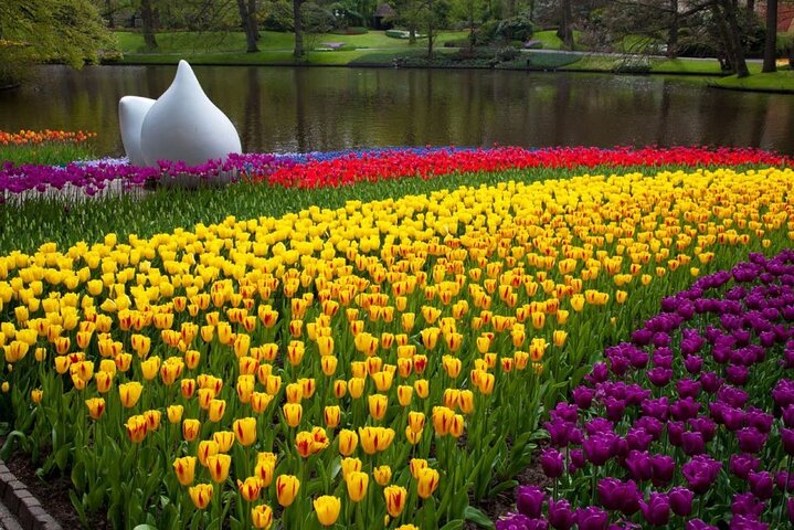 アムステルダム近郊のキューケンホフ公園でのシャトルバスと色鮮やかな花畑、写真21 | wizardtrip