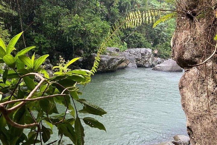 Esplora gli scivoli d'acqua naturali e le cascate di El Yunque, seguiti da relax e cibo sulla spiaggia di Luquillo, foto 10 | wizardtrip