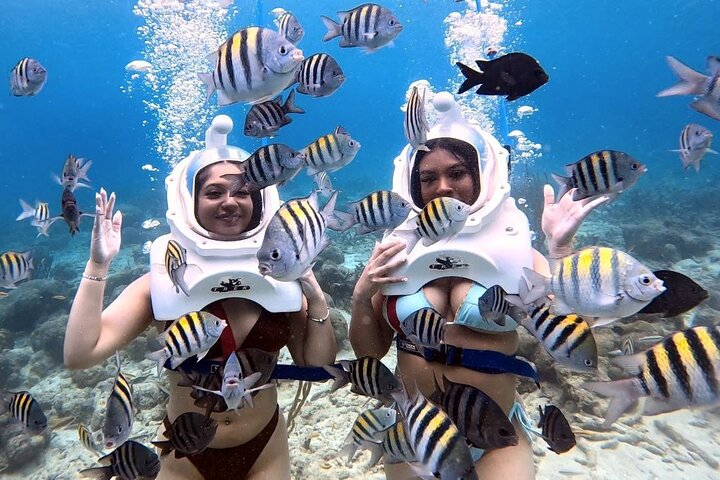 Ervaar een onderwater helmwandeling op de oceaanbodem in Curaçao en observeer het zeeleven, foto 2 | wizardtrip