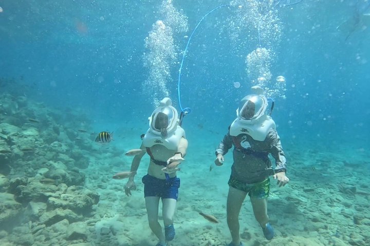 Ervaar een onderwater helmwandeling op de oceaanbodem in Curaçao en observeer het zeeleven, foto 6 | wizardtrip