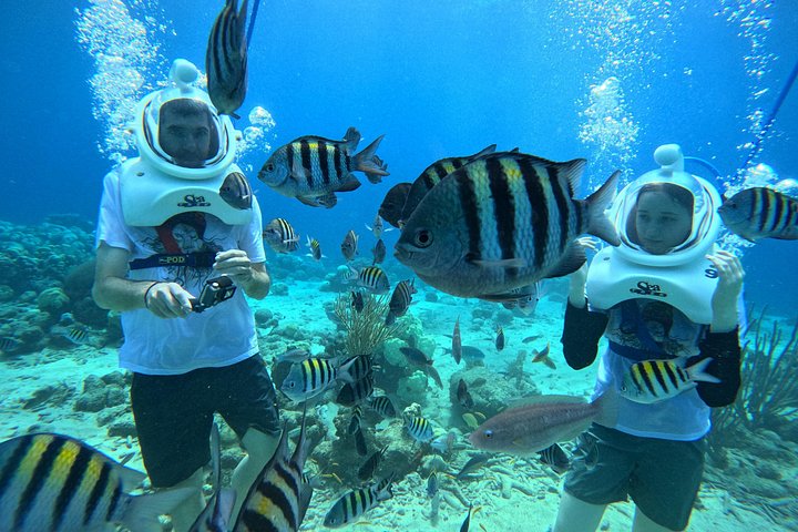 Ervaar een onderwater helmwandeling op de oceaanbodem in Curaçao en observeer het zeeleven, foto 8 | wizardtrip