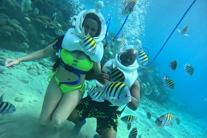 Ervaar een onderwater helmwandeling op de oceaanbodem in Curaçao en observeer het zeeleven, foto 11 | wizardtrip
