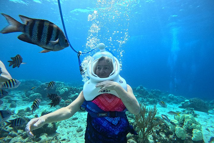 Ervaar een onderwater helmwandeling op de oceaanbodem in Curaçao en observeer het zeeleven, foto 16 | wizardtrip