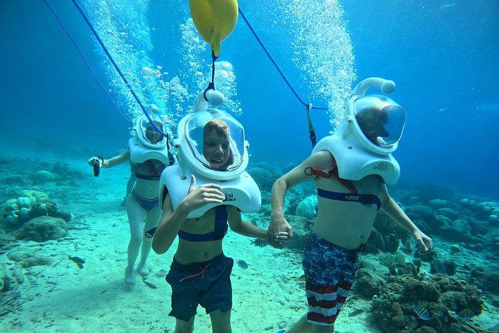 Ervaar een onderwater helmwandeling op de oceaanbodem in Curaçao en observeer het zeeleven, foto 18 | wizardtrip