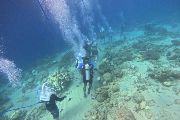 Ervaar een onderwater helmwandeling op de oceaanbodem in Curaçao en observeer het zeeleven, foto 19 | wizardtrip