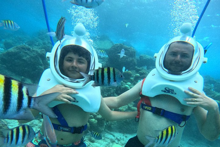 Ervaar een onderwater helmwandeling op de oceaanbodem in Curaçao en observeer het zeeleven, foto 20 | wizardtrip