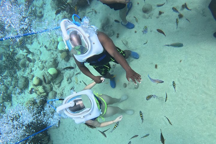 Ervaar een onderwater helmwandeling op de oceaanbodem in Curaçao en observeer het zeeleven, foto 21 | wizardtrip
