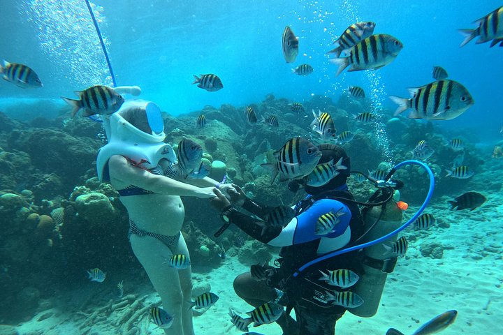 Ervaar een onderwater helmwandeling op de oceaanbodem in Curaçao en observeer het zeeleven, foto 22 | wizardtrip
