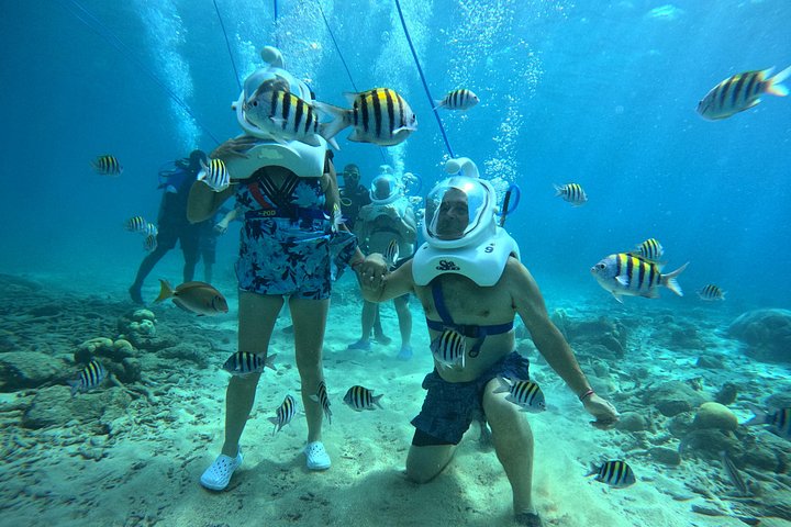 Ervaar een onderwater helmwandeling op de oceaanbodem in Curaçao en observeer het zeeleven, foto 23 | wizardtrip