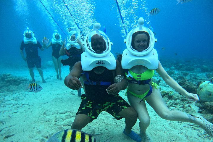 Ervaar een onderwater helmwandeling op de oceaanbodem in Curaçao en observeer het zeeleven, foto 24 | wizardtrip