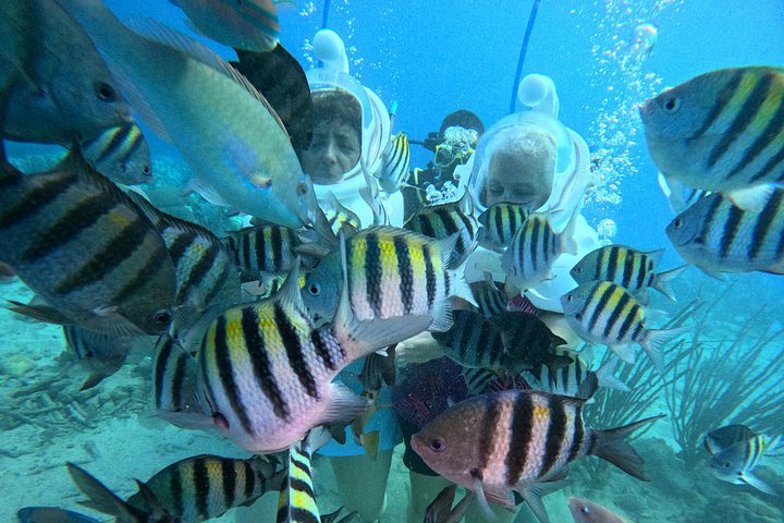 Ervaar een onderwater helmwandeling op de oceaanbodem in Curaçao en observeer het zeeleven, foto 25 | wizardtrip