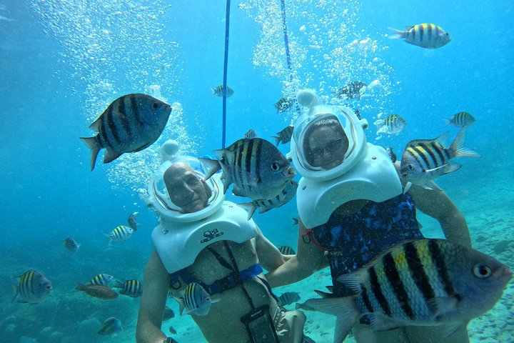 Ervaar een onderwater helmwandeling op de oceaanbodem in Curaçao en observeer het zeeleven, foto 27 | wizardtrip
